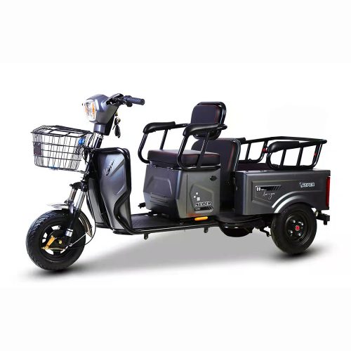 Tricicleta electrica cu doua locuri gri EB100-G