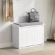 Dulap pantofi 62x46x25 cm FUR1890