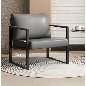   Fotoliu confortabil pentru living BeComfort 70x60x54cm gri FUR1929-1